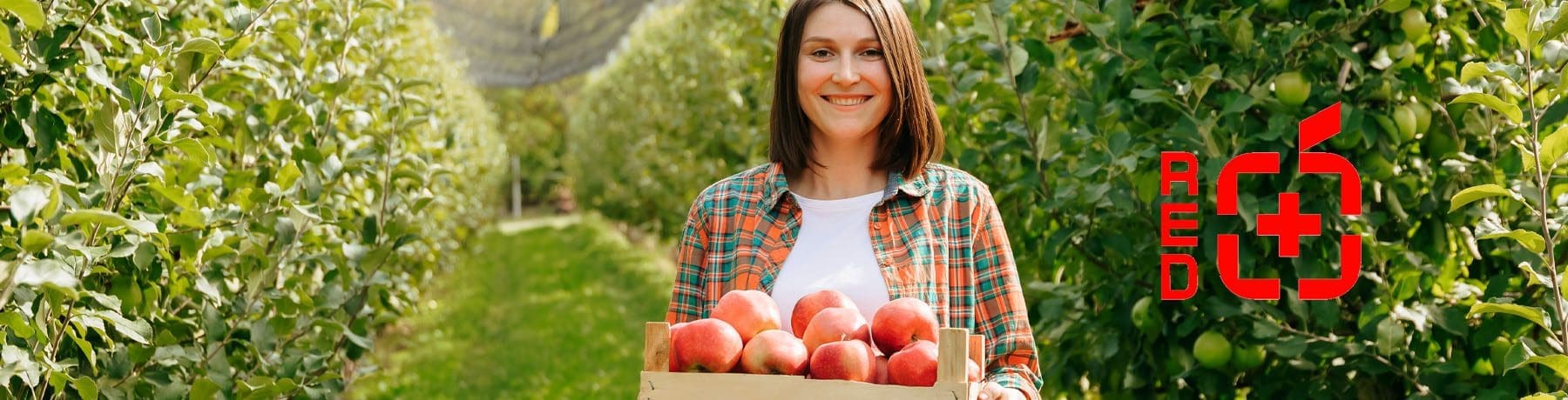 Redpower: Egészséges almalé különleges gyógynövényekkel a Mastery kínálatában